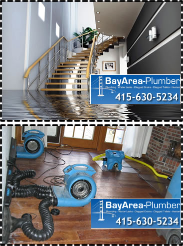 Basement Flooding Repair in San Francisco, CA 94126